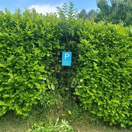 Cascina Legnago Bilocale A 6 Chilometri Da Salo Apartment Villanuova sul clisi